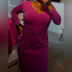 Ann Taylor Fuchsia long sleeve dress